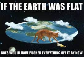 Saturday is the most anticipated day of the week. 22 Caturday Memes That Will Start Your Weekend The Right Way Funny Gallery