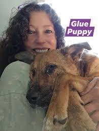 I feel like I should just keep a picture handy of Noodle when she came in  at 2 pounds, 4 weeks covered in glue. She's gone from riding in the front of