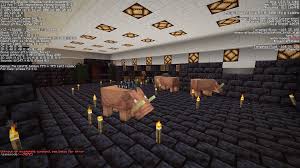 How to make a invisible house with command block in minecraft. Why Do Piglins And Hoglins Spawn In My House Discussion Minecraft Java Edition Minecraft Forum Minecraft Forum
