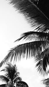 Black And White Palm Tree Pictures Palm Leaf Print Watercolor Palm Leaves Tropical Leaf Print Botanical Print Download Boho Printable Wall Art White Wallpaper Black And White Wallpaper Black And White Photo Wall