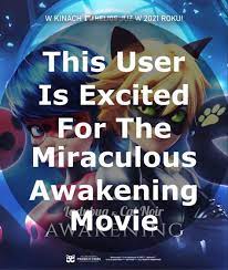 pin on miraculous ladybug cat nior