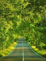 240x320 Nature Wallpapers Download hd hd nature wallpapers best collection. 240x320 nature wallpapers