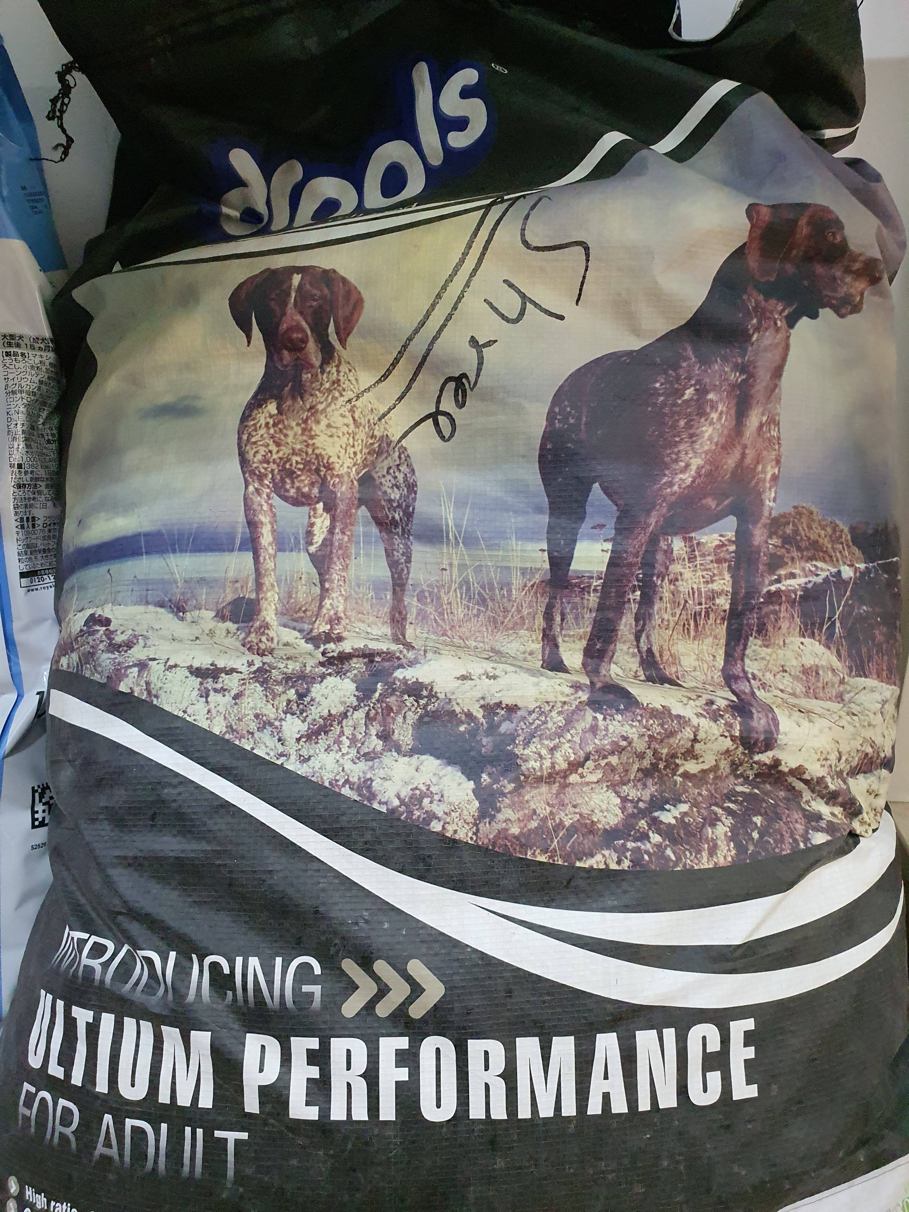 Optimum Performance 20kg Dog Food product image