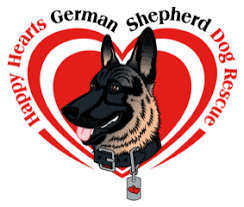 German shepherd puppies available for a new german shepherd puppies available for a new home shipping available all over the usa serious contact only at 720 not named yet black and red akc german shepherd puppies for sale. Happy Hearts