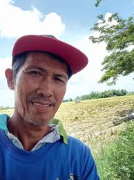 Happy birthday, Rich Hill and Pedro Báez!