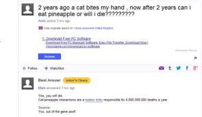 Some Of The Most Bizarre Questions Asked Via Yahoo Answers In 2015 21 Photos Yahoo Answers Answers Tumblr Funny