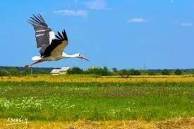 Загублений палац вінберга | україна інкогніта. Priroda Ukrayini Test Z Prirodoznavstva Na Urok