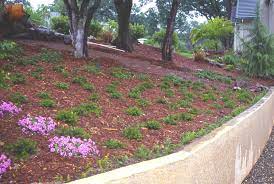 Some methods will help you address two issues in one: Hillside Erosion Control Landscaping Network