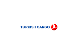 Turkish Cargo Transportation Strategy Consulting
