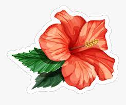 We did not find results for: Realistic Hibiscus Drawing Novocom Top