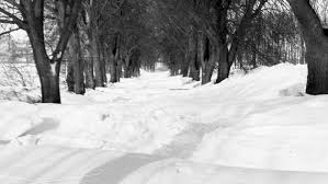 Schneesturm und klirrende kälte im norden sowie eisregen in der mitte und frühlingshafter föhn im süden: Der Schneewinter 1978 79 Zeitzeugen Erinnern Sich Ndr De Geschichte Chronologie