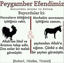 Sel Da Adli Kullanicinin Hadis Sunnet Panosundaki Pin Melek