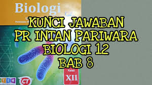 Kunci jawaban intan pariwara kelas 12 pkn. Kunci Jawaban Biologi 12 Bab 8 Mutasi Youtube