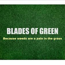 Biology, chemistry, environmental biology, environmental control technol./technicians, other. Blades Of Green Bladesofgreen Twitter