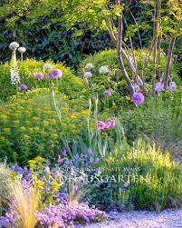 Moderner Landhausgarten Cottagegarten Welche Pflegeleichten Pflanzen Passen In 2020 Pflegeleichte Pflanzen Cottage Garten Pflanzen