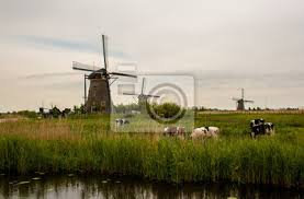 Samen zorgeloos genieten bij roompot vakanties. Schone Niederlande Landschaft Leinwandbilder Bilder Europa Unesco Kuh Myloview De