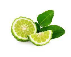 Check spelling or type a new query. Makrut Kieffer Kaffir Thai Semi Dwarf Lime Tree