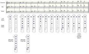 I give you the info you need for how to play and read each chroma. Recorder Notes Recorder Fingering And Note Production