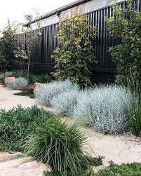 A Simply Beautiful Contemporary Australian Native Garden Done So Well Garden Design Fig Lan Landscaping Inspiration Australian Garden Design Coastal Gardens