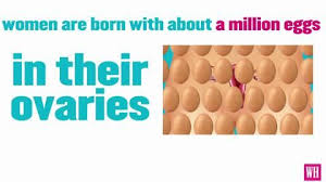 Fetal viability means that the fetus, if born, could survive. How Late Is Too Late To Have An Abortion Women S Health
