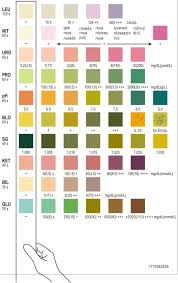 urine reagent strips acon labs