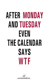 Gitranegie Funny Quotes Office Quotes Funny Sarcastic Quotes