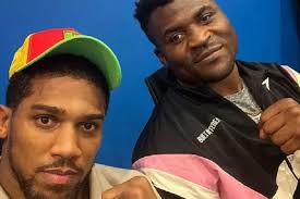 Tak Berkutik di Tangan Anthony Joshua dan KO Ronde 2, Francis Ngannou Cuma  Bisa Minta Maaf