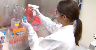 If successful, novavax would conduct a phase 2 study in multiple countries including the u.s. Covid 19 Vaccine From Novavax Is Latest To Enter Phase 3 Trial In U S Cbs News
