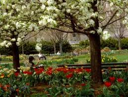 Growing image landscape offers complete landscaping and garden services to residential and commercial clients in marin county and san francisco. Landscape And Garden Designers Garden Design