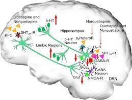 Quetiapin sandoz 100 mg filmomhulde tabletten. The Use Of Quetiapine In The Treatment Of Major Depressive Disorder Evidence From Clinical And Experimental Studies Sciencedirect
