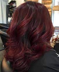 Thick Medium Length Burgundy Hair Burgundy Hair Caramel Hair Dye Summer Brown Hair