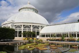 Botanische nacht im botanischen garten berlin auf 27. Botanischer Garten New York Orchideen Und Mehr Orchideenfans Blog