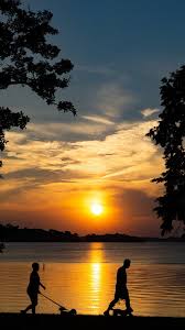 Sunset Dogs View 1 Ear Up Railroad Stock Image