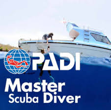 Padi Master Scuba Diver Junior Courses In Bali