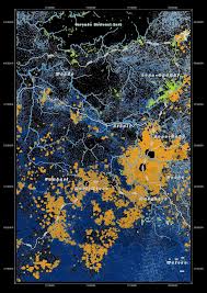 Image result for isolona lebrunii