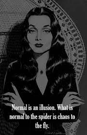 What is normal for the spider is chaos for the fly. Normal Is An Illusion What Is Normal To The Spider Is Chaos To The Fly Morticia Addams 483 X 750 Quotesporn