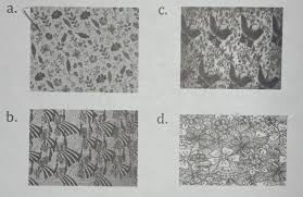 Karya seni inilah yang dapat berupa tulisan atau batik, songket, ukiran, tenun. Ragam Hias Atau Motif Bisa Saja Berasal Dariperpaduan Antara Bentuk Flora Dan Fauna Atau Perpaduan Brainly Co Id