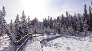 Get the historical monthly weather forecast for calgary, ab, ca. Beste Reisezeit Alberta Wetter Klimatabelle Und Klimadiagramm