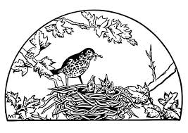 The file includes a teacher's lesson plan, interactive pages, video links, link to interactive website and 22 printable pages for a class book about opposites. Coloring Page Bird S Nest Free Printable Coloring Pages Img 19453