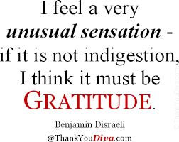 Let us be thankful for the fools. Funny Quotes And Sayings Gratitude Quotesgram