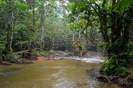 Sie waren bereits in hutan lipur sungai bantang?teilen sie ihre erfahrung! Hutan Lipur Sg Tua Portal Rasmi Majlis Perbandaran Selayang Mps
