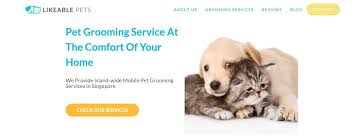 More than a haircut for dogs or cats, pet grooming services include all the tasks necessary to make your dog, cat, pet bird, lizard or other exotic pet. The 12 Options For The Best Cat Grooming In Singapore 2021