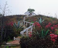 Flowers will be delivered to your house on the first friday of every month. The Chapel On The Dune