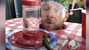 Have You Seen This? Man uses elaborate costumes to attract, feed  hummingbirds