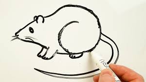 How To Draw A Rat Easy Drawing On A Whiteboard In 2020 White Board Drawings Easy Drawings Drawings