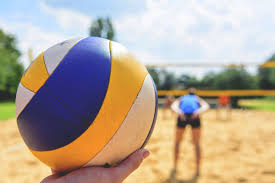 Once you learn how to make a backyard volleyball court and get it set up, the rules are basically up to you. Steps To Building A Sand Volleyball Court Playrs Club Sand Volleyball Court Volleyball Court Backyard Beach Volleyball Court