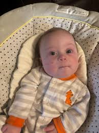 See how them de feed🐄🐄🐄