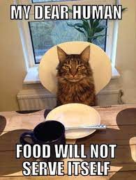 I Don T Care If You Re Hungry Human Animal Captions Funny Animal Memes Funny Animals