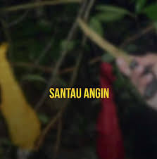 We did not find results for: Tanda Tanda Santau Angin