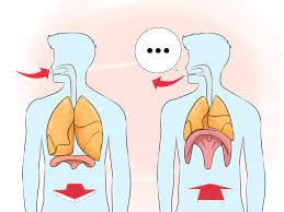 Maybe you would like to learn more about one of these? How To Talk With A Deeper Voice 15 Steps With Pictures